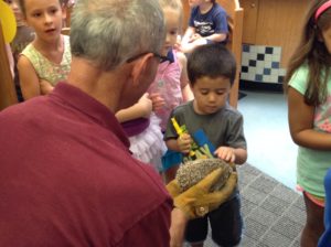 A visit from the Binghamton Zoo at Ross Park, July 30.