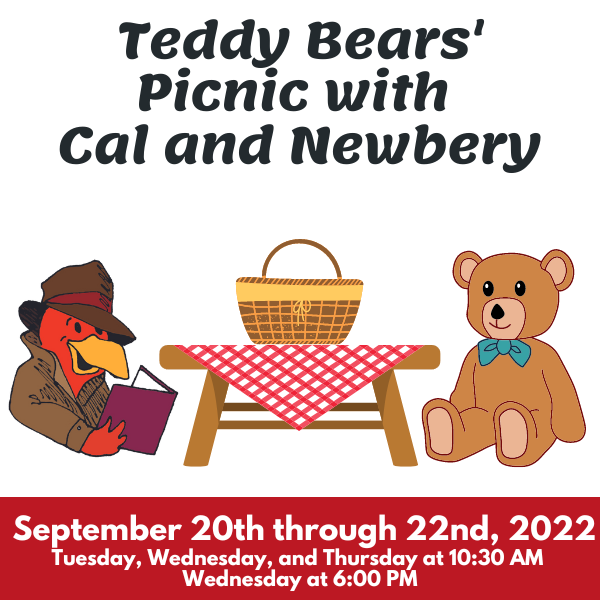 Teddy Bears’ Picnic with Cal and Newbery | Lackawanna County Library System